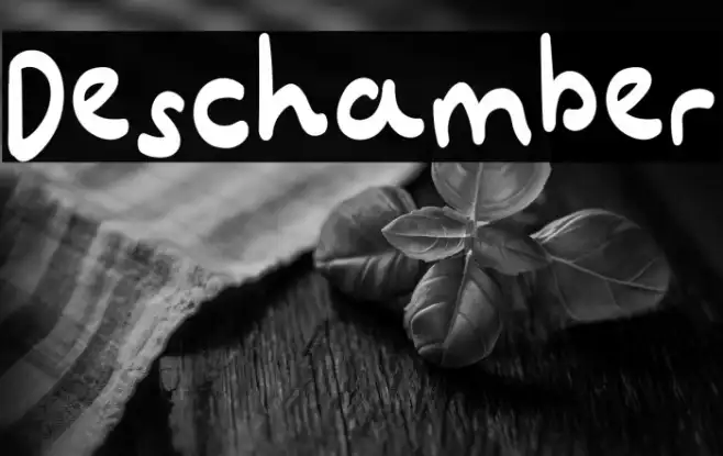 Deschamber Example 3
