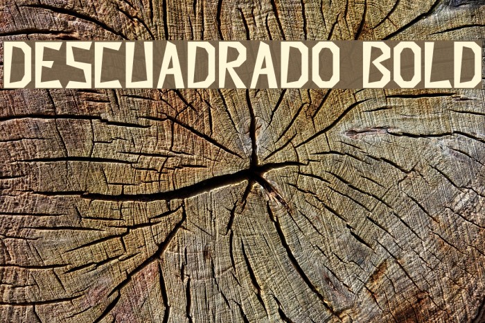 Descuadrado Bold Font examples