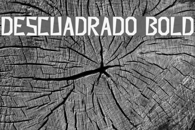 Descuadrado Bold Font examples