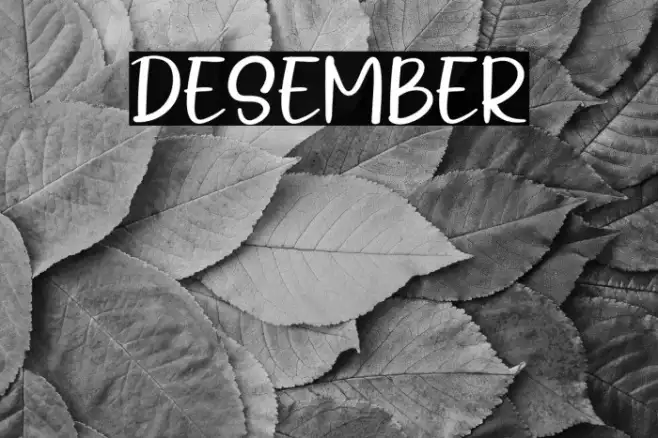 Desember Example 2
