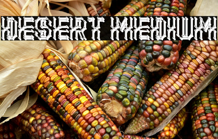 Desert Medium Example 2