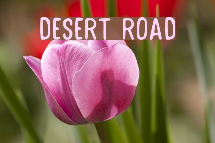 Desert Road Font examples