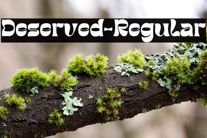 Deserved-Regular Example 3