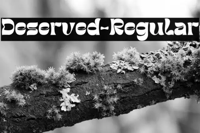 Deserved-Regular Font examples