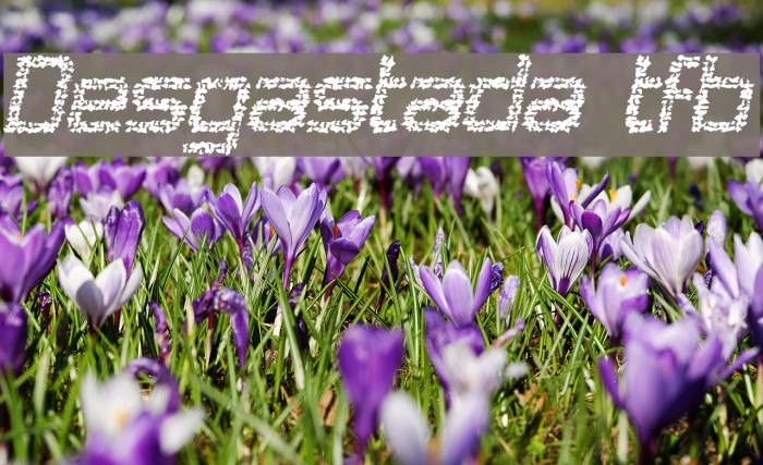 Desgastada tfb Font examples