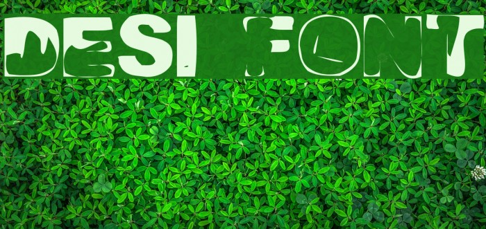 Desi Font examples