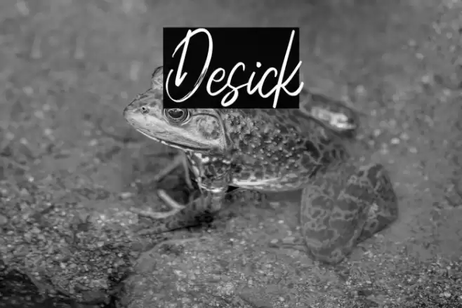 Desick Font examples