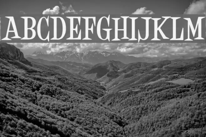 Desigers Bold Font examples