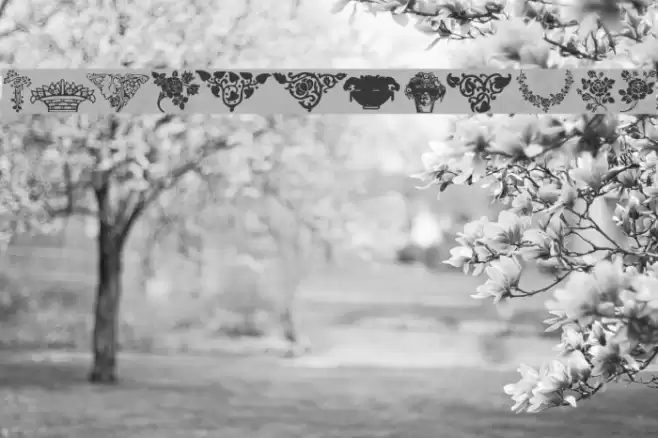 Design3 Caratteri examples