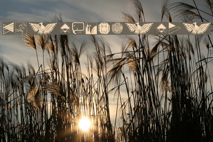 DesignBasics Example 1