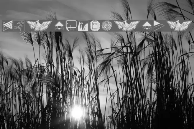 DesignBasics Font examples