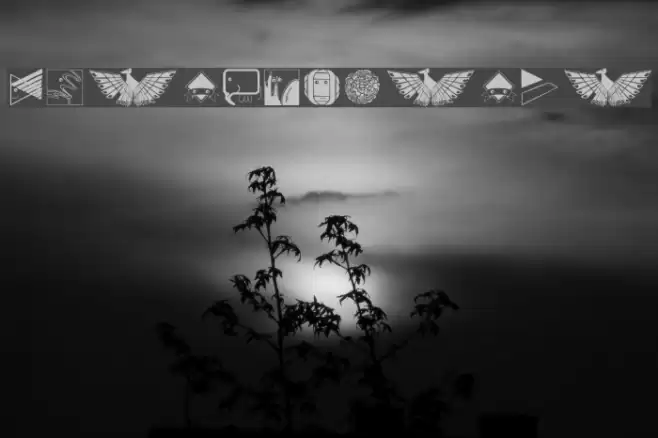 DesignBasics Font examples