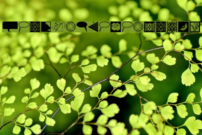 DesignElementsTwo Example 2