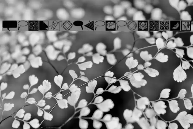 DesignElementsTwo Font examples