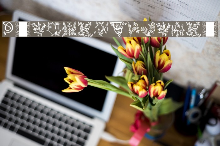 DesignPartsOne لخطوط تنزيل examples