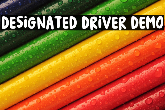 Designated Driver DEMO Example 2