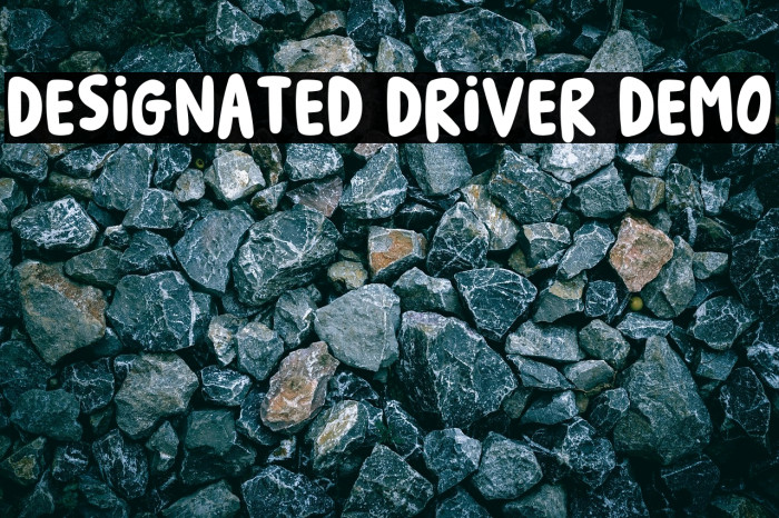 Designated Driver DEMO Example 3