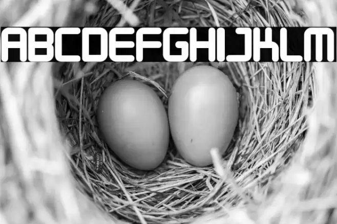 Designer Block フォント examples