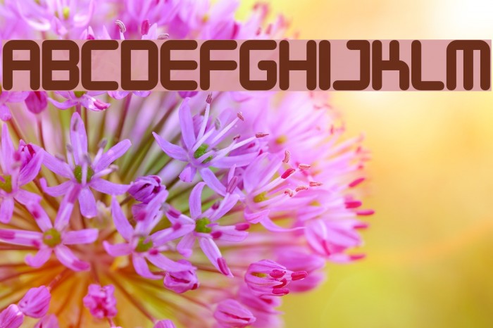 Designer Block フォント examples