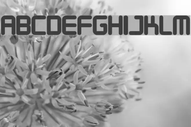 Designer Block フォント examples