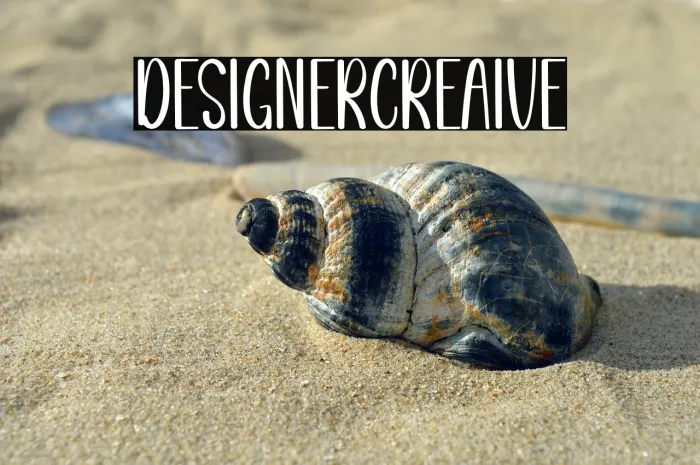 Designer Creative Example 2