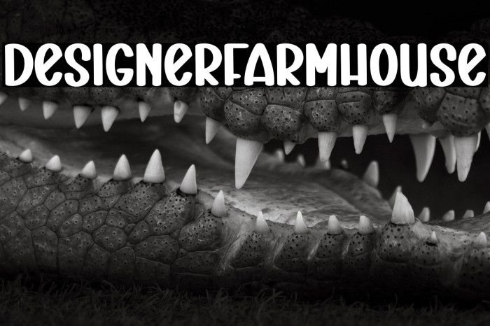 Designer Farmhouse Example 2