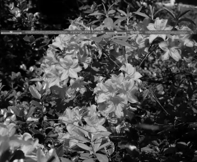 Designer Mix II Polices examples