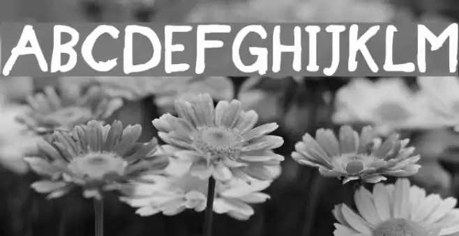 Designer Notes Bold Font examples