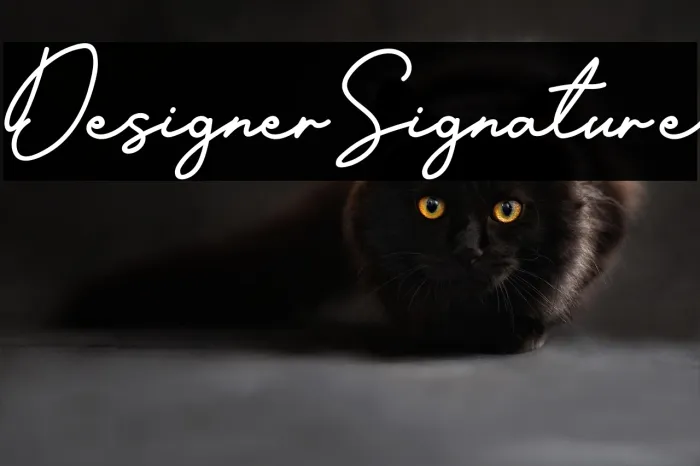Designer Signature Example 2