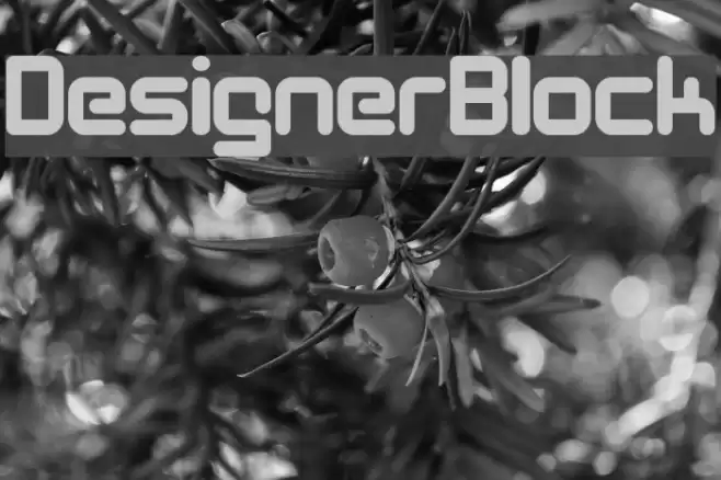 DesignerBlock フォント examples