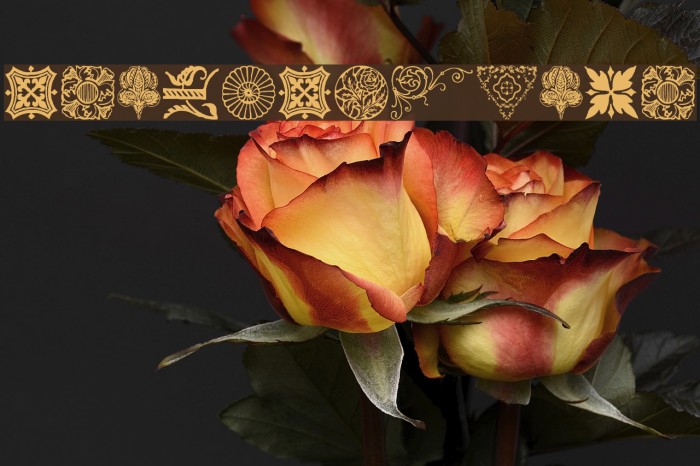 DesignerMotifs Font examples