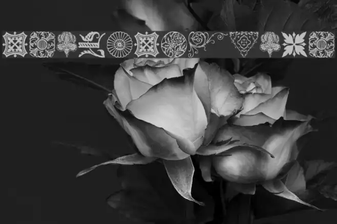 DesignerMotifs Example 3