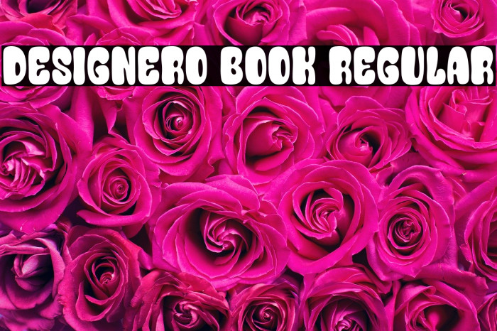 Designero Book Regular Example 1