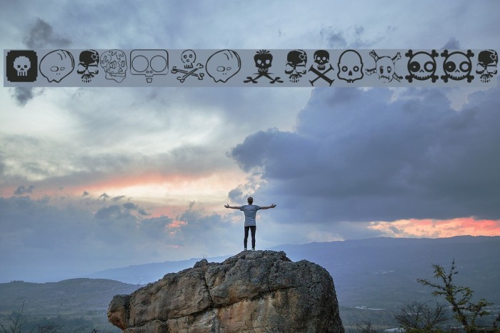 DesignersSkulls Example 1