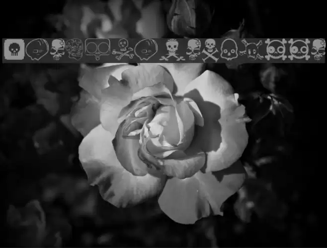 DesignersSkulls Font examples