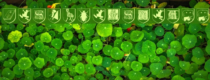 DesignersWeAll Polices examples