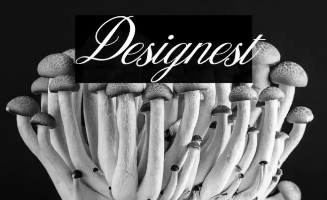 Designest Font examples