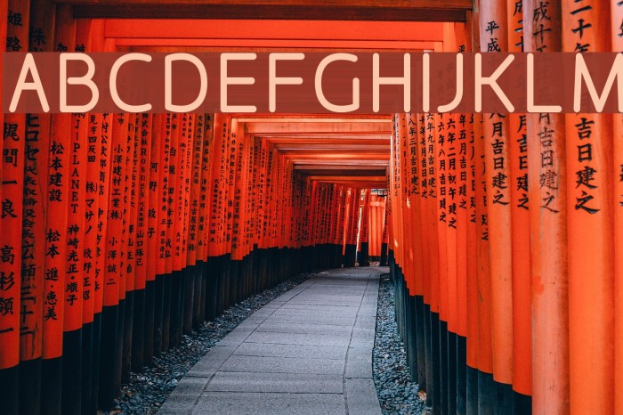 DesignioMedium Font examples