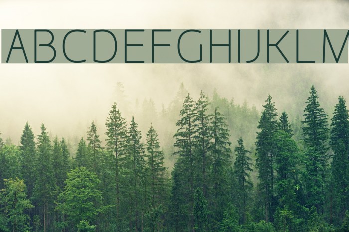 Designio Font examples