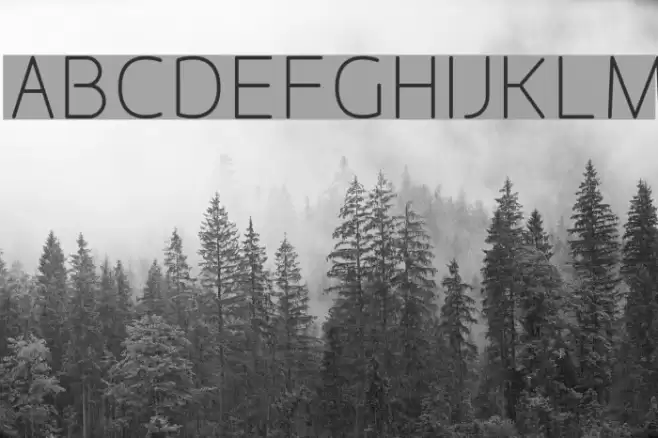 Designio Font examples