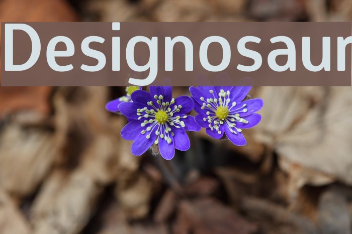 Designosaur Font examples