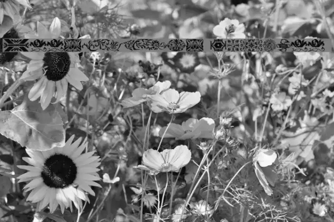 Designs Galore 4 Example 2