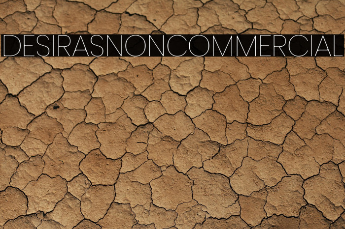 DesirasNonCommercial Example 2