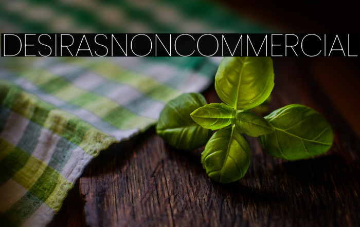 DesirasNonCommercial Example 3