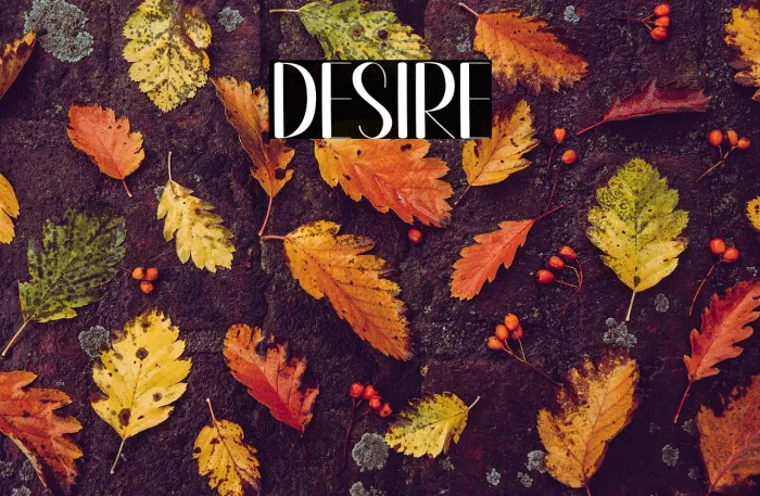 Desire Example 2