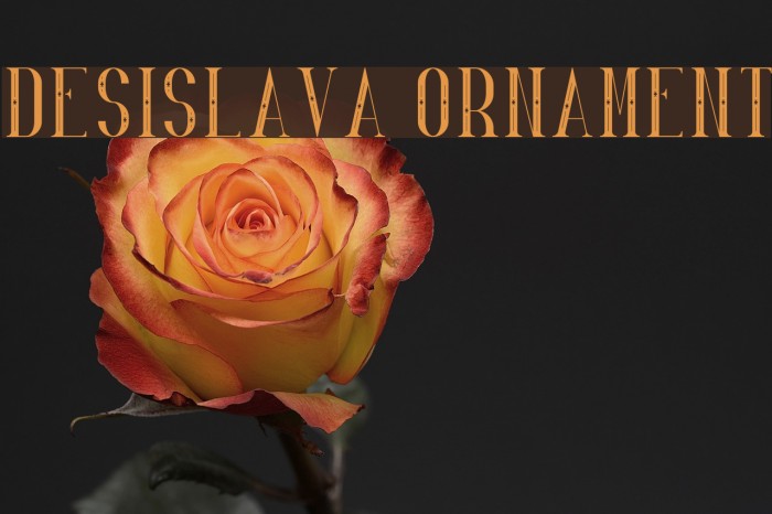 Desislava Ornament Font examples