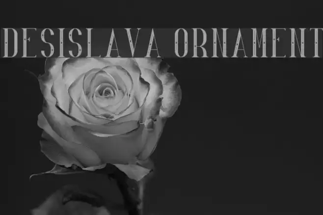 Desislava Ornament Example 2