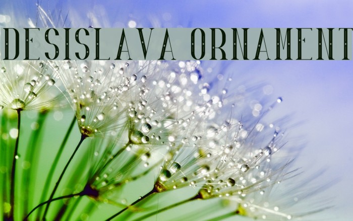 Desislava Ornament Font examples