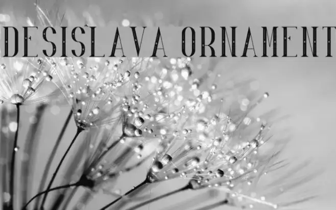 Desislava Ornament Example 3