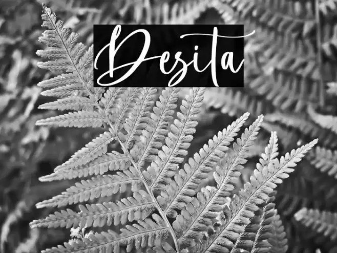 Desita Font examples